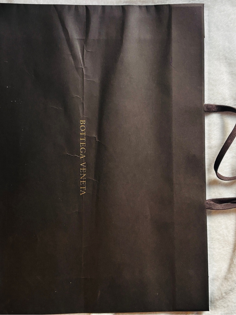 Bottega Veneta Large Chocolate Brown Luxury Shopping Gift Bag Authentic - Picture 6 of 6